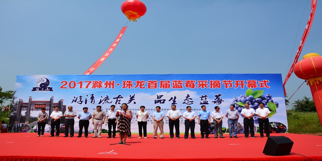 悠兰山蓝莓谷蓝莓采摘节